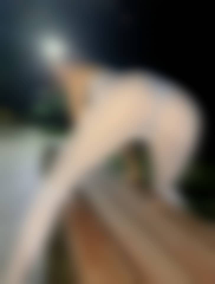 【微密圈】就是阿朱啊-夜晚白瑜伽[10P-7MB]