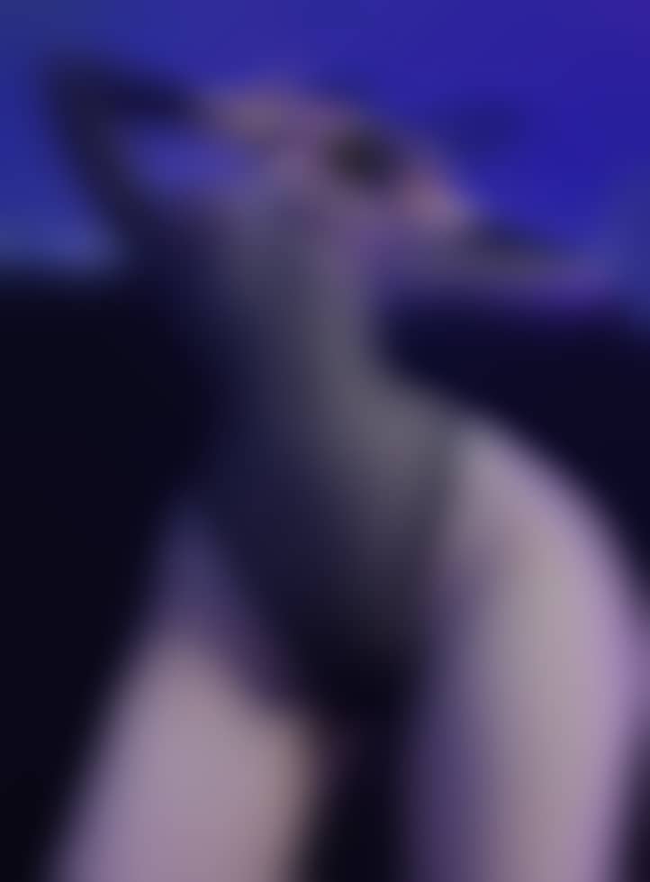 8fb97618a161f88963e90e3c5017dcb6 8fb97618a161f88963e90e3c5017dcb6