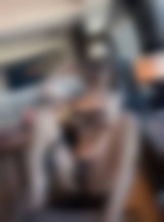 a17097cb9425064eab8a4bd46c175444