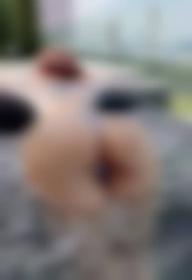 a564fc2218331c5da747758cc74701ef a564fc2218331c5da747758cc74701ef