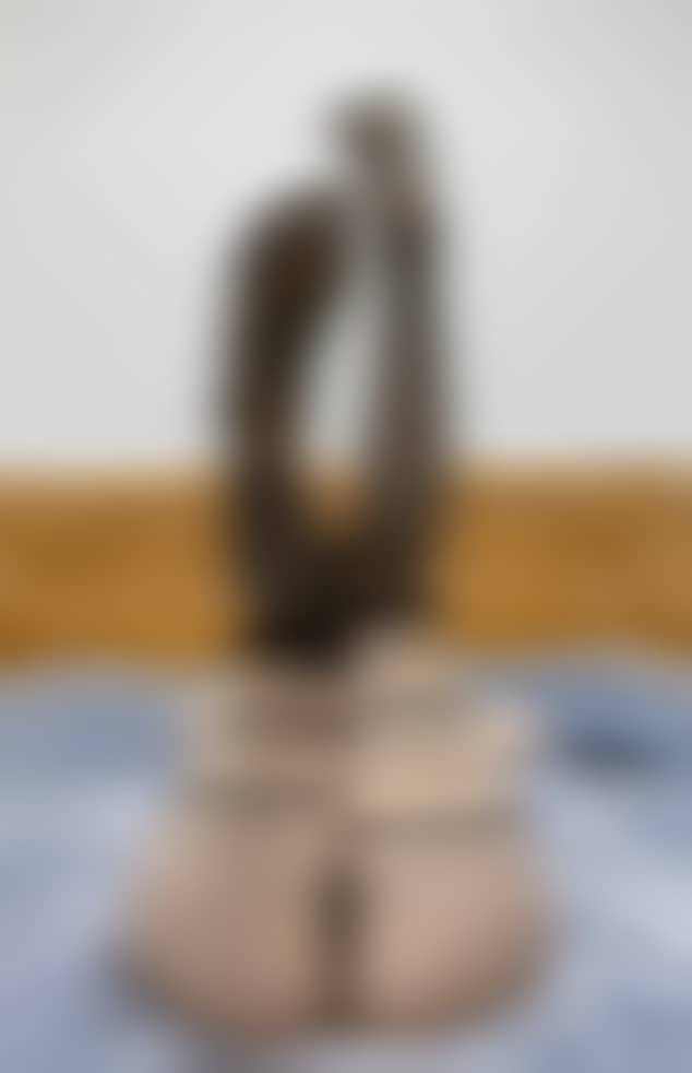 【微密圈】铁锤姐姐1.25更新套图 [28P22V-1.2GB]