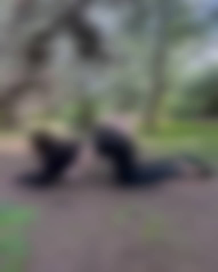 c1eeaeb8d140c5f2b6d26cf98da46f79 c1eeaeb8d140c5f2b6d26cf98da46f79