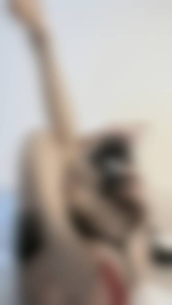 c98fab832e1d382ff980b1b826ebc21f c98fab832e1d382ff980b1b826ebc21f