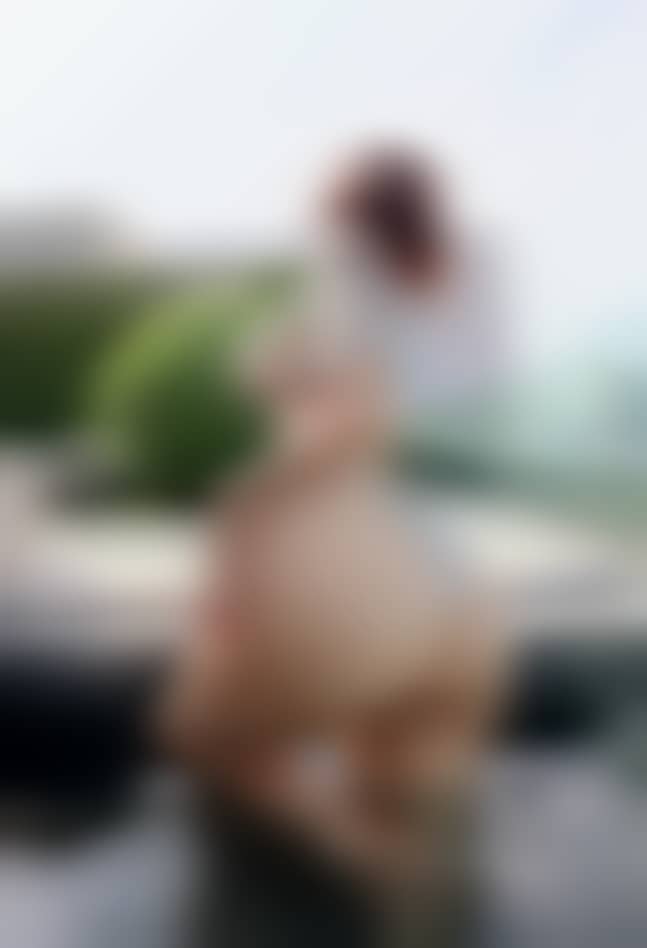 d03961ce469a5f7eae5c1dfdde37b878 d03961ce469a5f7eae5c1dfdde37b878