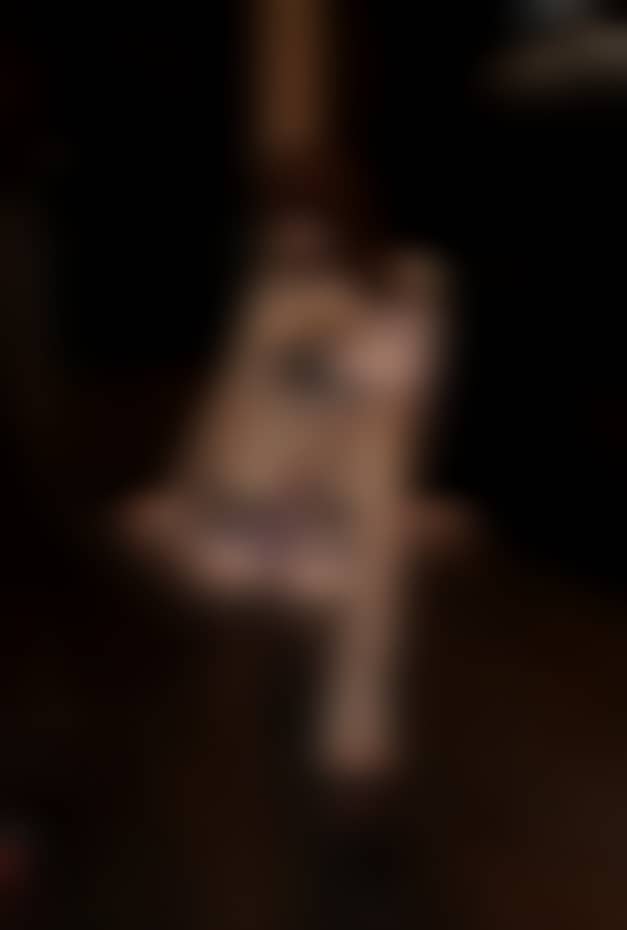 d2372baaf5c5833054d2b25b2edc4570 d2372baaf5c5833054d2b25b2edc4570