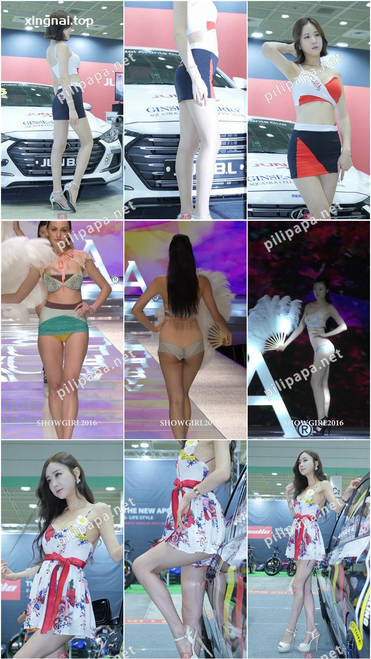 [合集]180216 车模车展showgirl视频19部