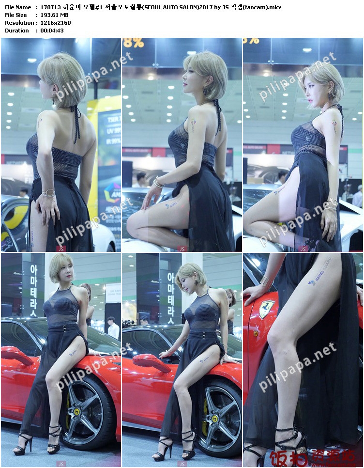 [合集]2017首尔汽车沙龙车模showgirl视频212视频合集