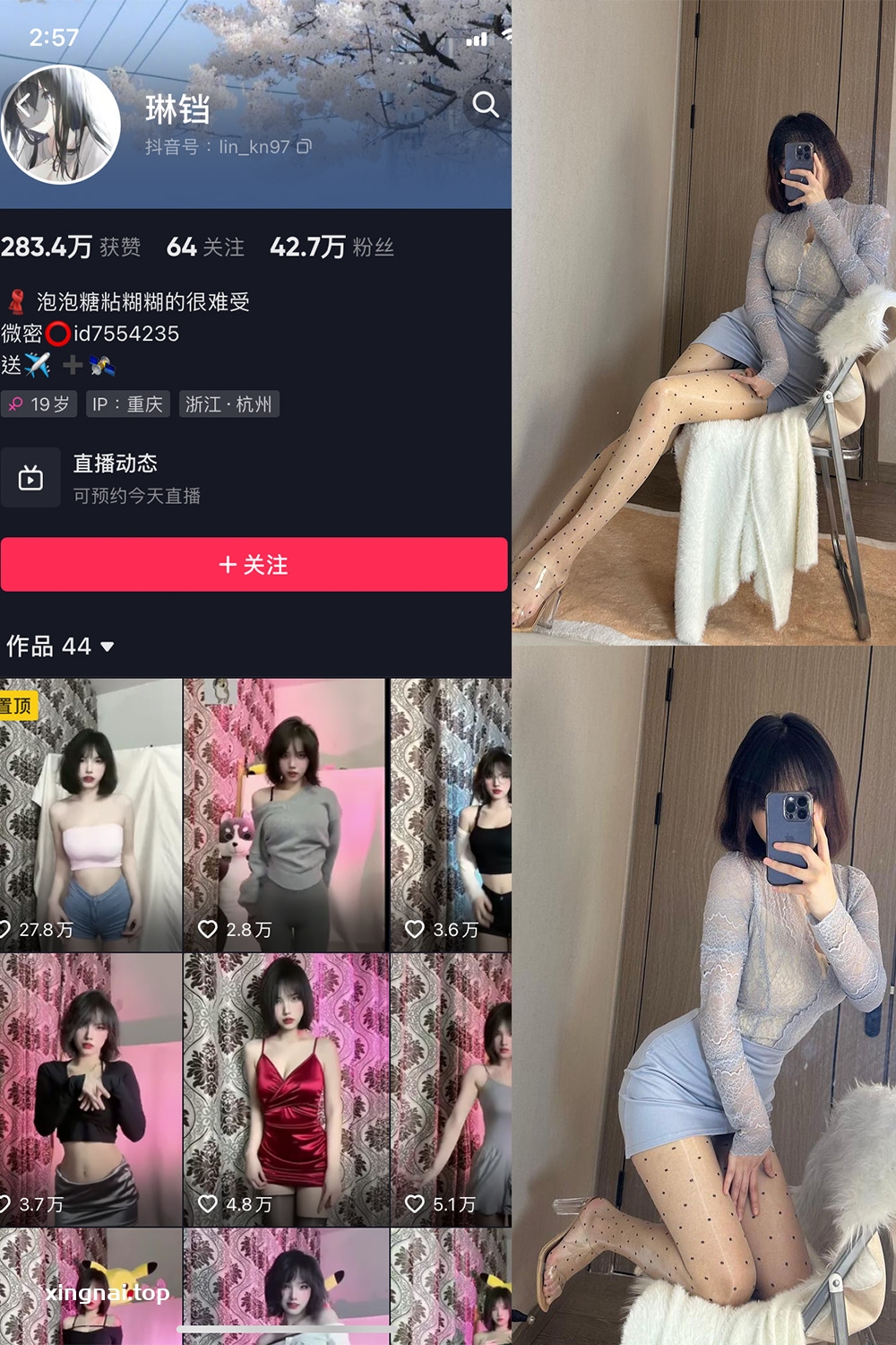 抖音 琳铛 微密圈  NO.061期 【34P4V】最新至：2024.2.08