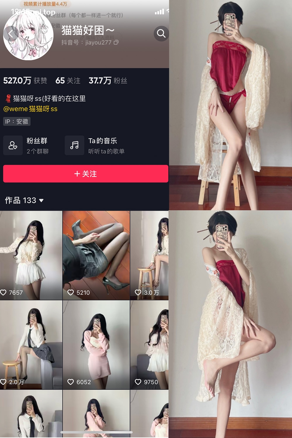 抖音 猫猫好困 微密圈  NO.012期 【9P】