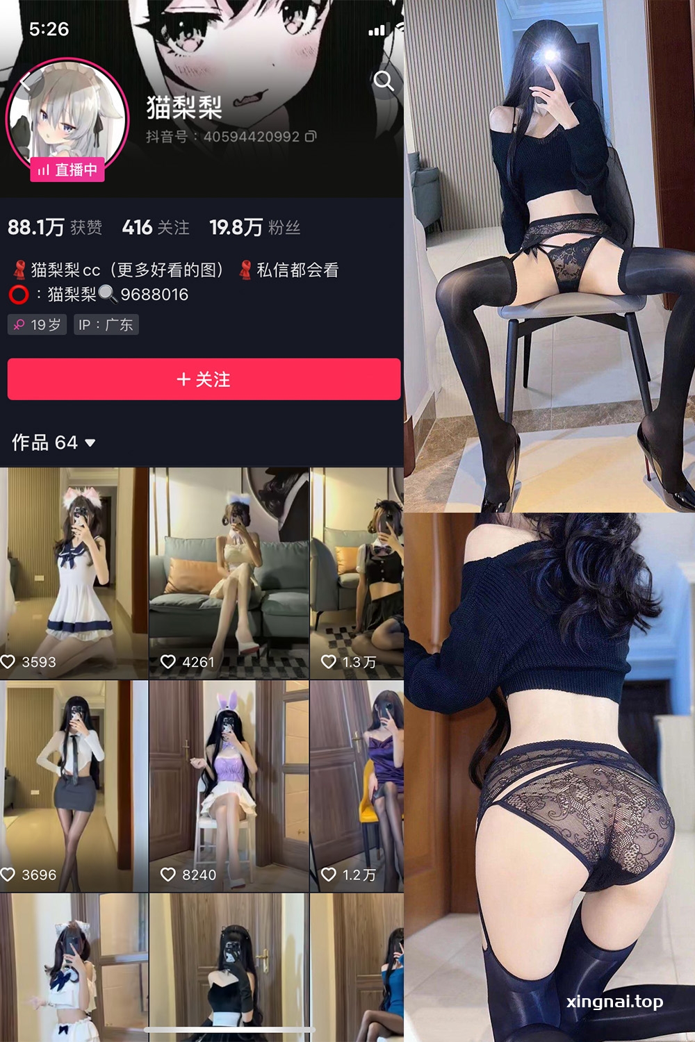 抖音 猫梨梨 微密圈 NO.064期 【54P8V】最新至:2024.8.24