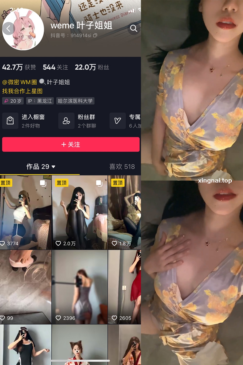 抖音 叶子姐姐 微密圈  NO.016期 【2V】最新至：2023.6.17