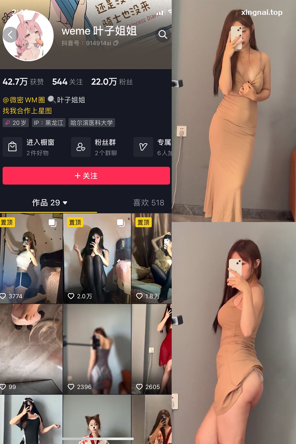 抖音 叶子姐姐 微密圈  NO.009期 【22P8V】