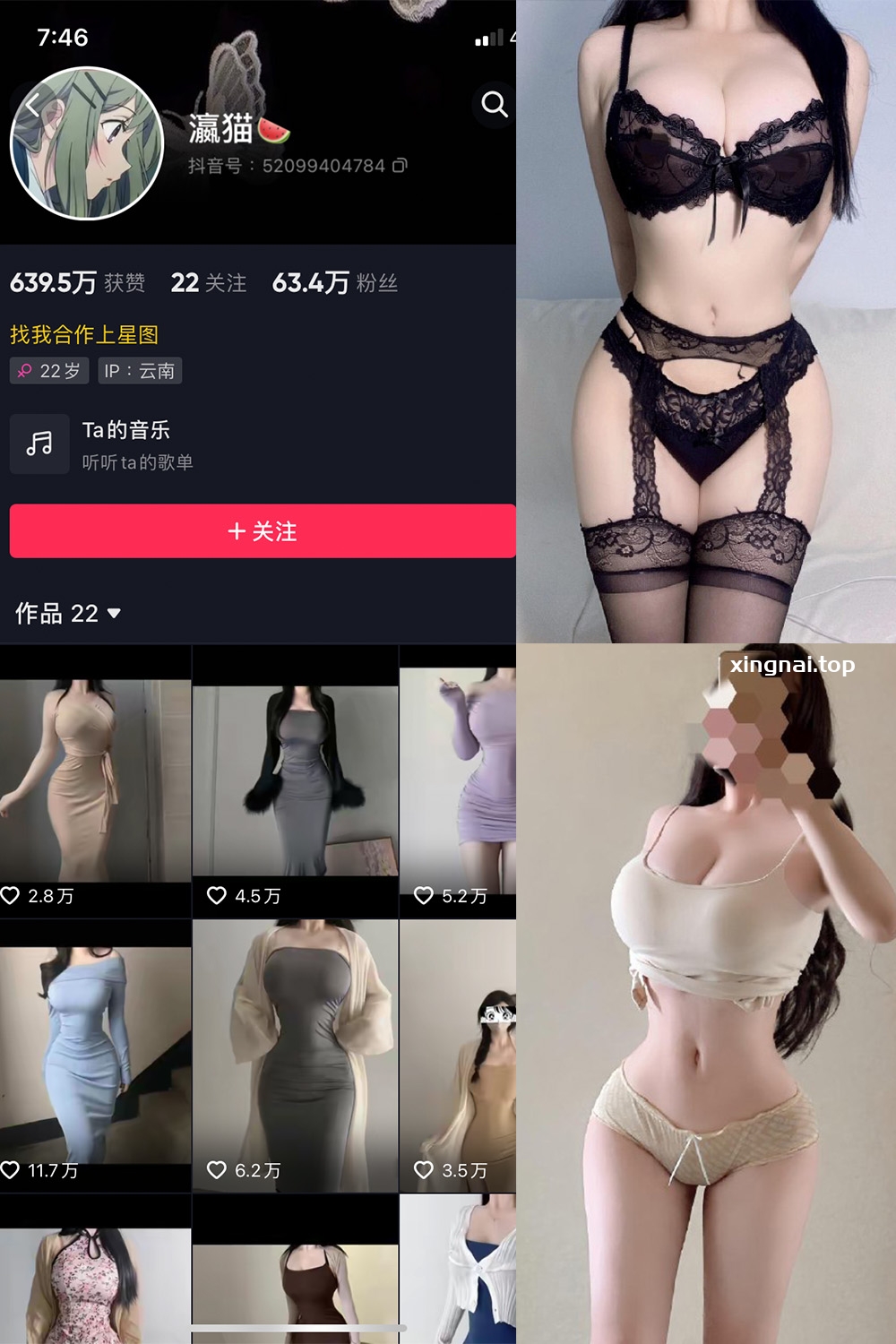 抖音 瀛猫 微密圈  NO.040期 【14P1V】最新至：2024.3.28