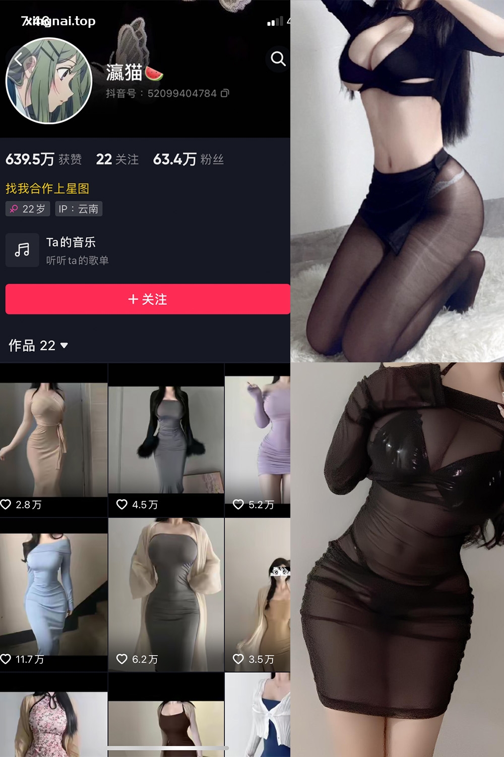 抖音 瀛猫 微密圈  NO.036期 【24P2V】最新至：2024.3.7