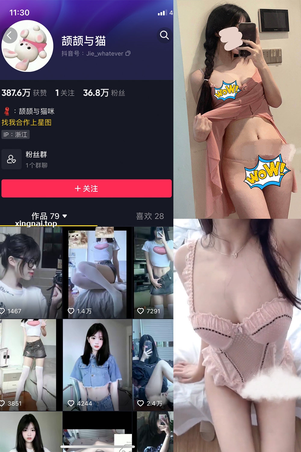 抖音 颉颉与猫 微密圈  NO.001期 【17P6V】