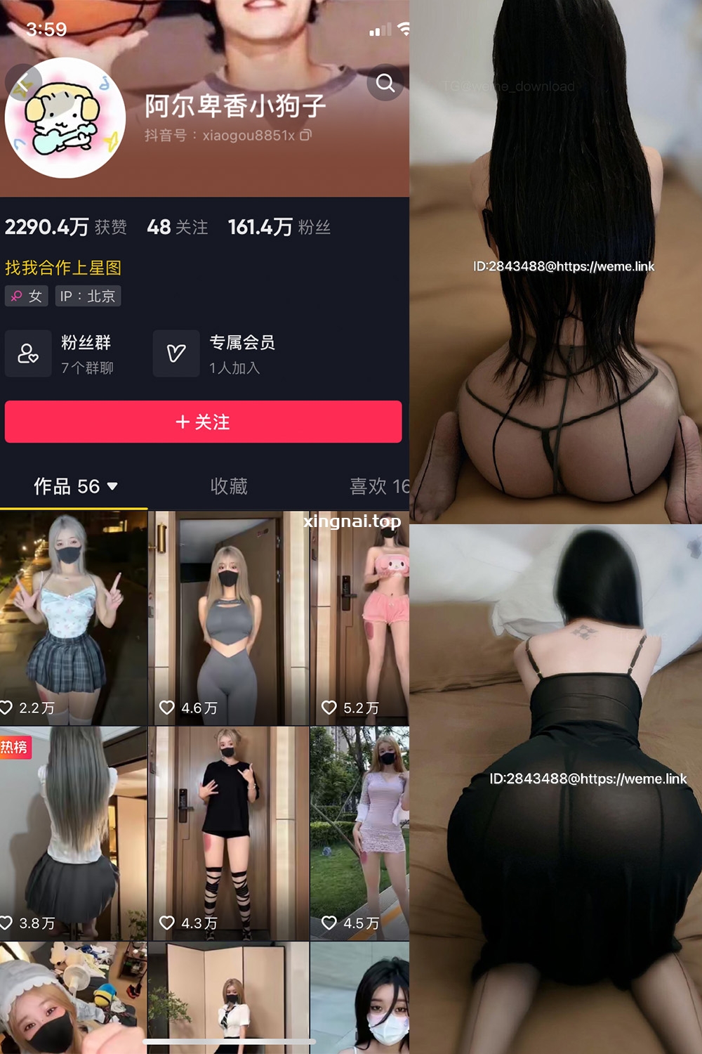 抖音 阿尔卑香小狗子 微密圈  NO.057期 【36P1V】最新至：2024.9.3