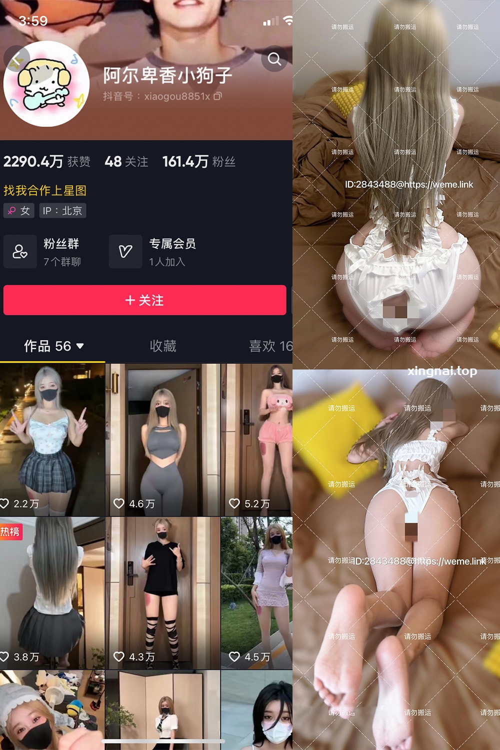 抖音 阿尔卑香小狗子 微密圈  NO.054期 【16P1V】最新至：2024.8.9