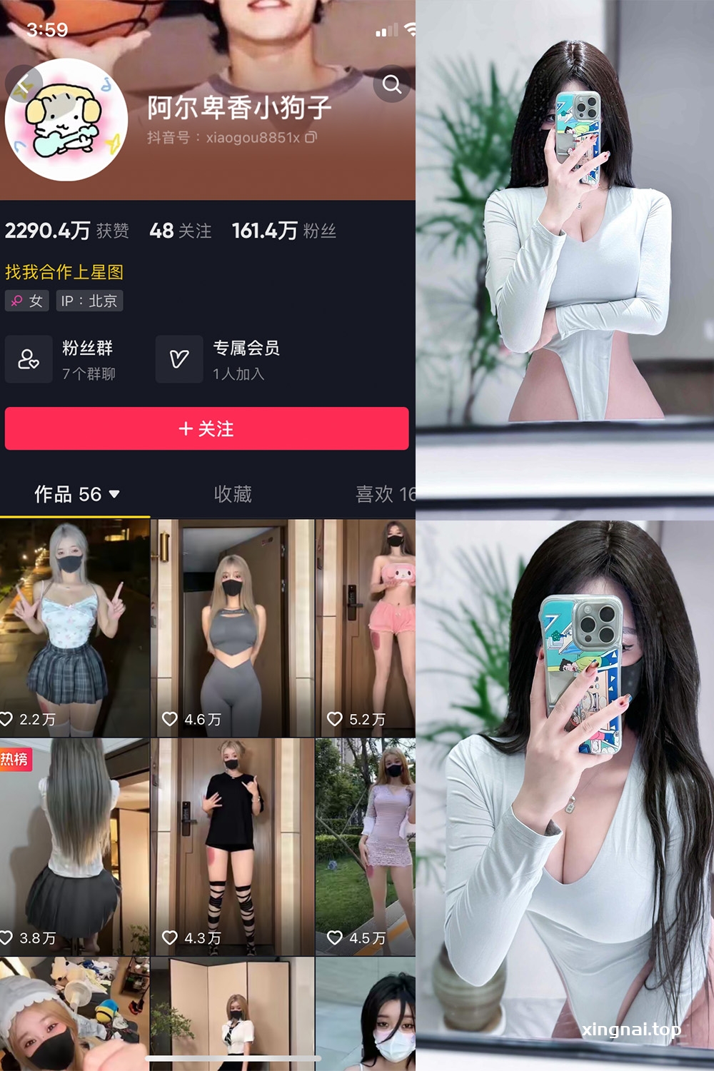 抖音 阿尔卑香小狗子 微密圈  NO.041期 【10P2V】最新至：2024.1.05