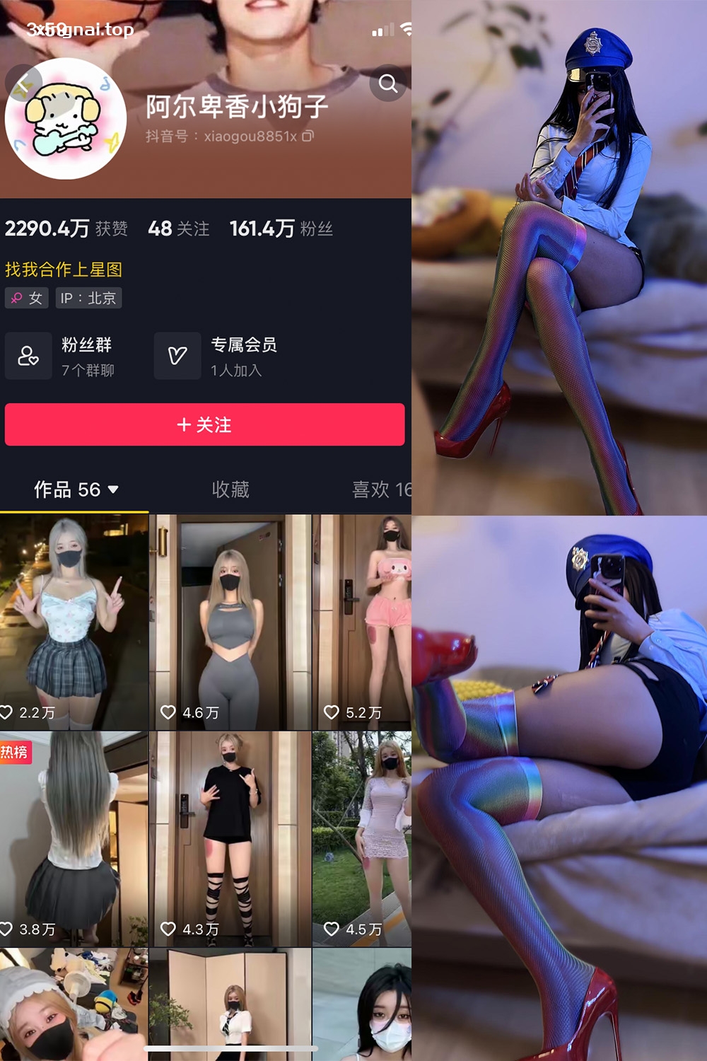 抖音 阿尔卑香小狗子 微密圈  NO.031期 【19P】最新至：2023.10.11