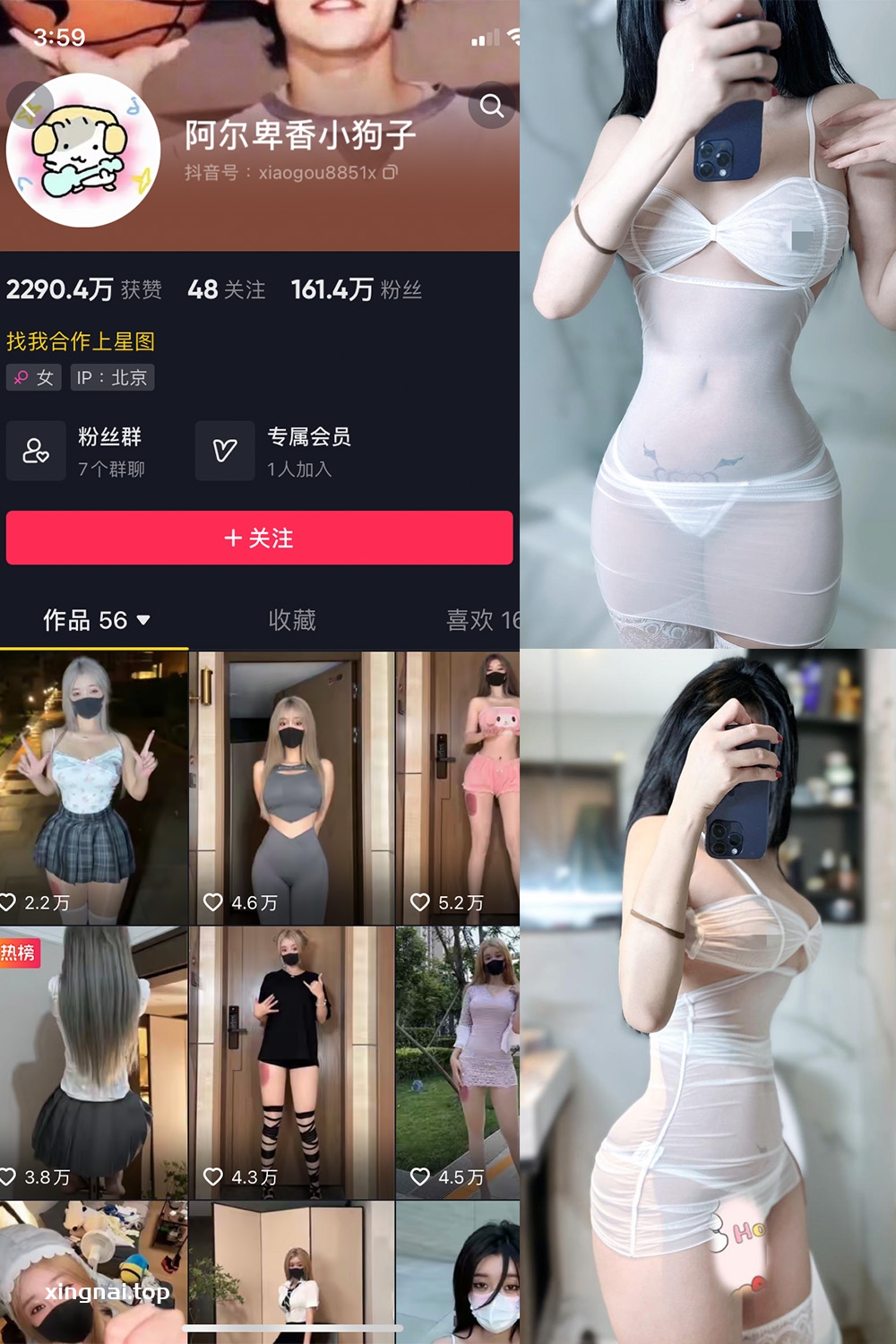 抖音 阿尔卑香小狗子 微密圈  NO.028期 【33P】最新至：2023.10.1