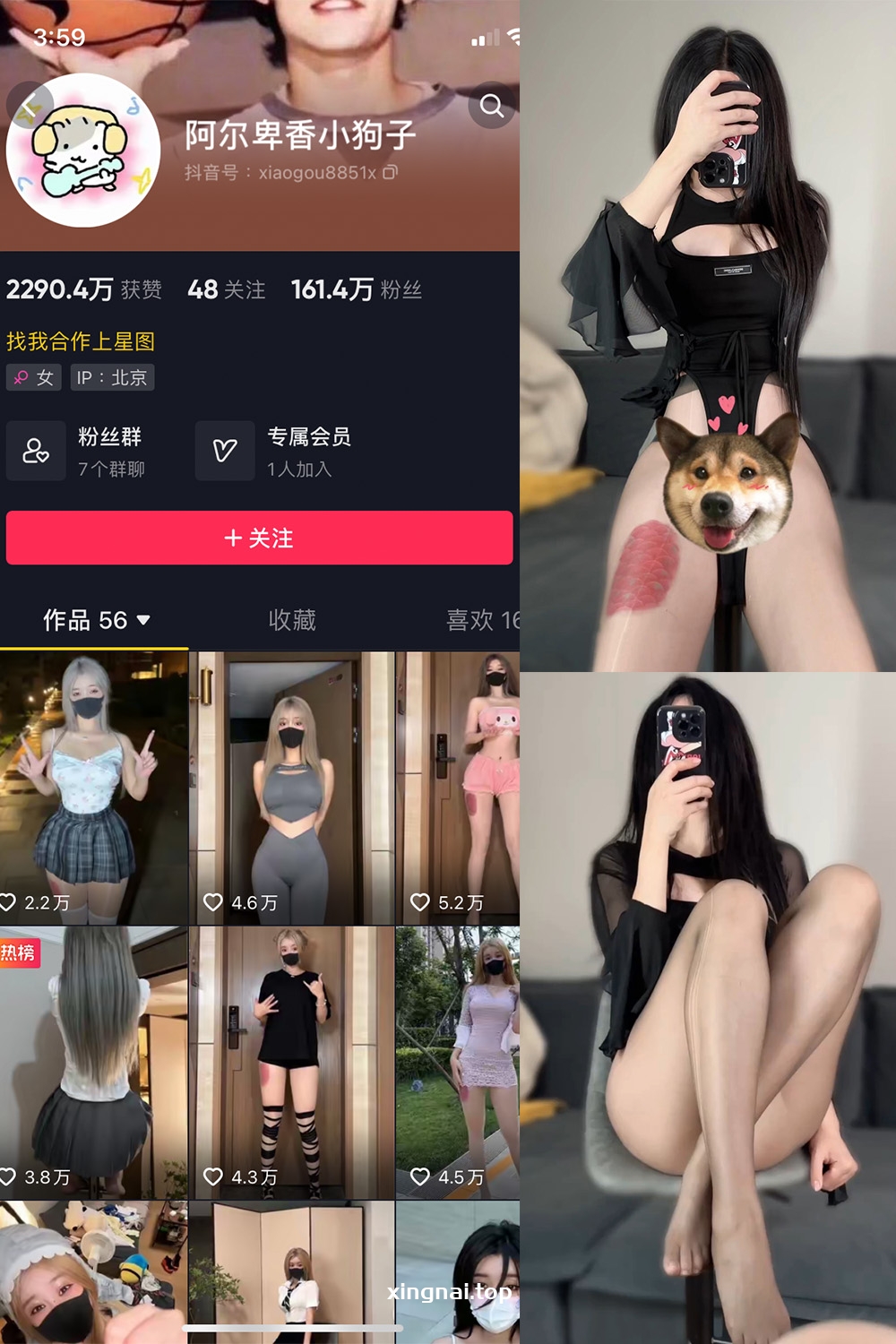 抖音 阿尔卑香小狗子 微密圈  NO.026期 【8P1V】最新至：2023.9.27