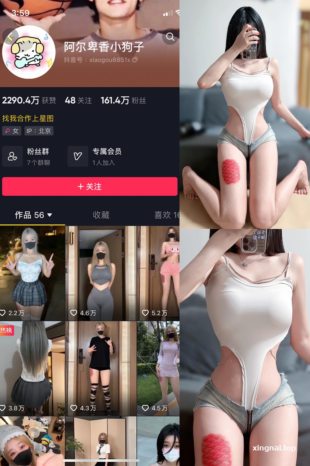 抖音 阿尔卑香小狗子 微密圈  NO.020期 【17P】最新至：2023.8.23