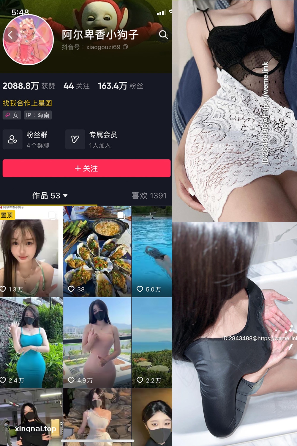 抖音 阿尔卑香小狗子 微密圈  NO.011期 【36P1V】最新至：2023.7.6