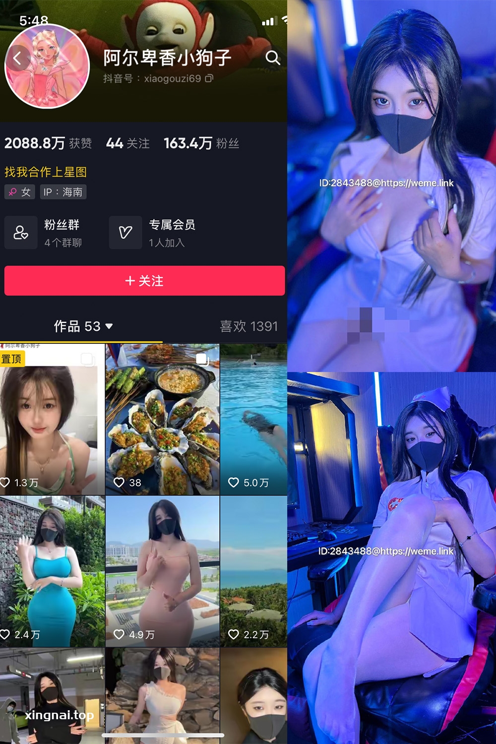 抖音 阿尔卑香小狗子 微密圈  NO.006期 【13P】最新至：2023.6.8