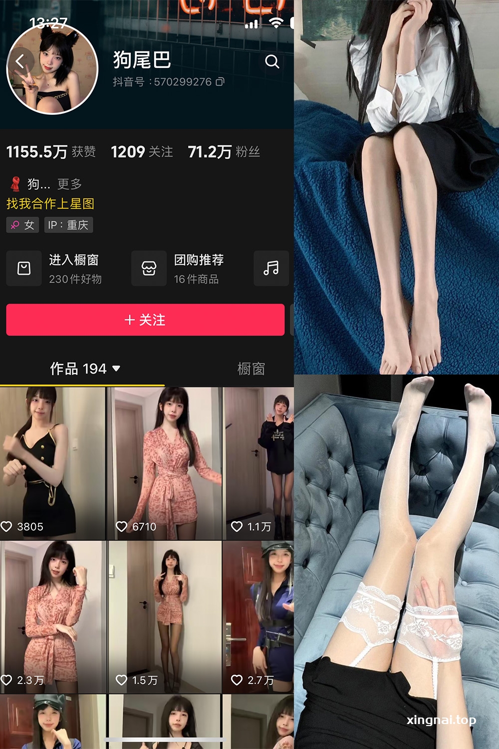 抖音 狗尾巴叶 微密圈  NO.003期 【37P8V】最新至：2023.12.12