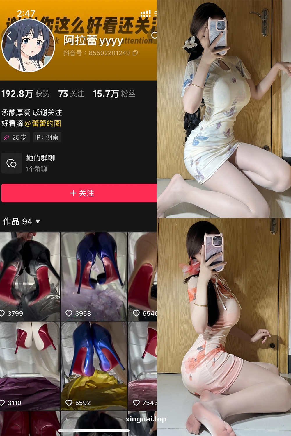 抖音 阿拉蕾 铁粉空间 NO.004期 【60P】