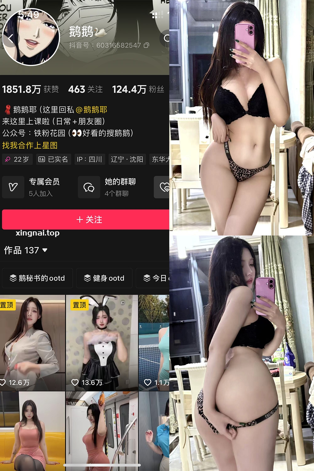 抖音 鹅鹅 铁粉空间 NO.019期 【28P】最新至:2024.10.12