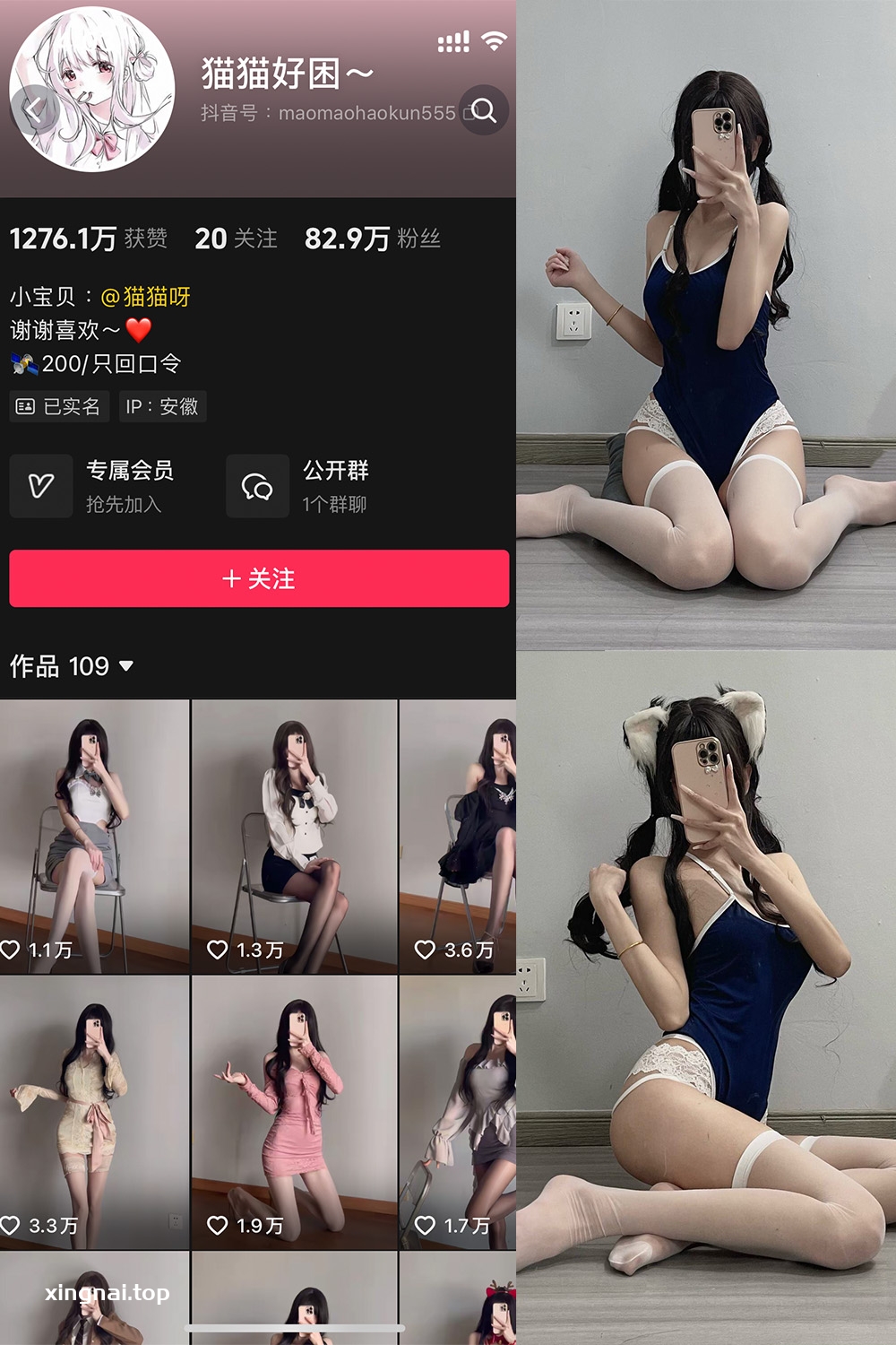 抖音 猫猫好困 微密圈 NO.039期 【54P2V】