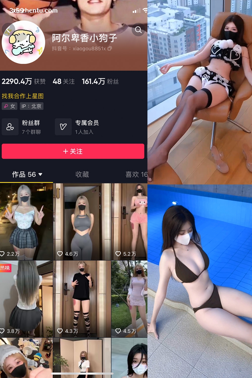 抖音 阿尔卑香小狗子 微密圈 | 觅圈  NO.062期 【8V】最新至：2025.5.22