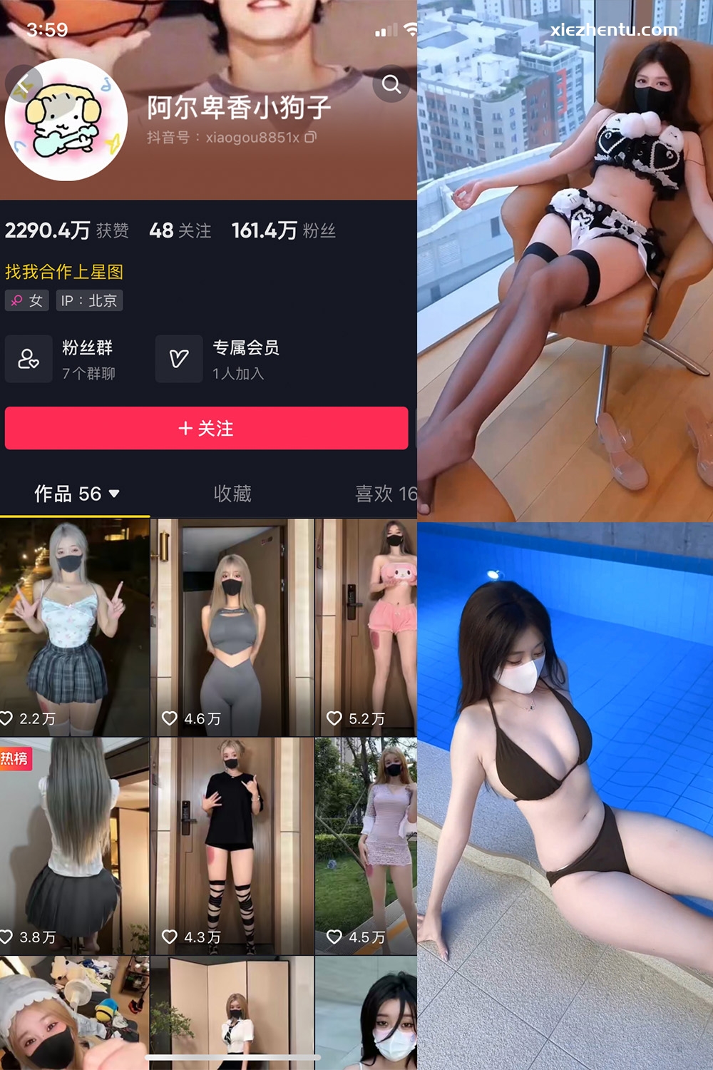 抖音 阿尔卑香小狗子 微密圈  NO.062期 【8V】最新至：2025.5.22